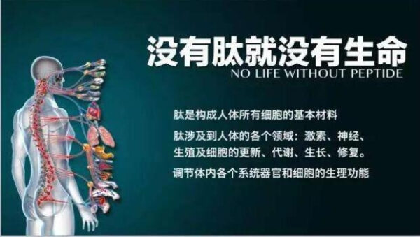 三髓黄金五骨粉 no 肽no life