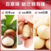 BaiChaoWei4 Macadamia nut characterics